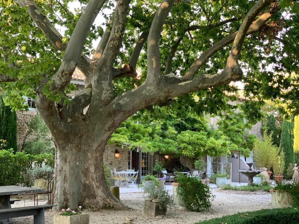 Le Clos De Lucie Lagnes Exteriér fotografie