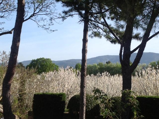 Le Clos De Lucie Lagnes Exteriér fotografie